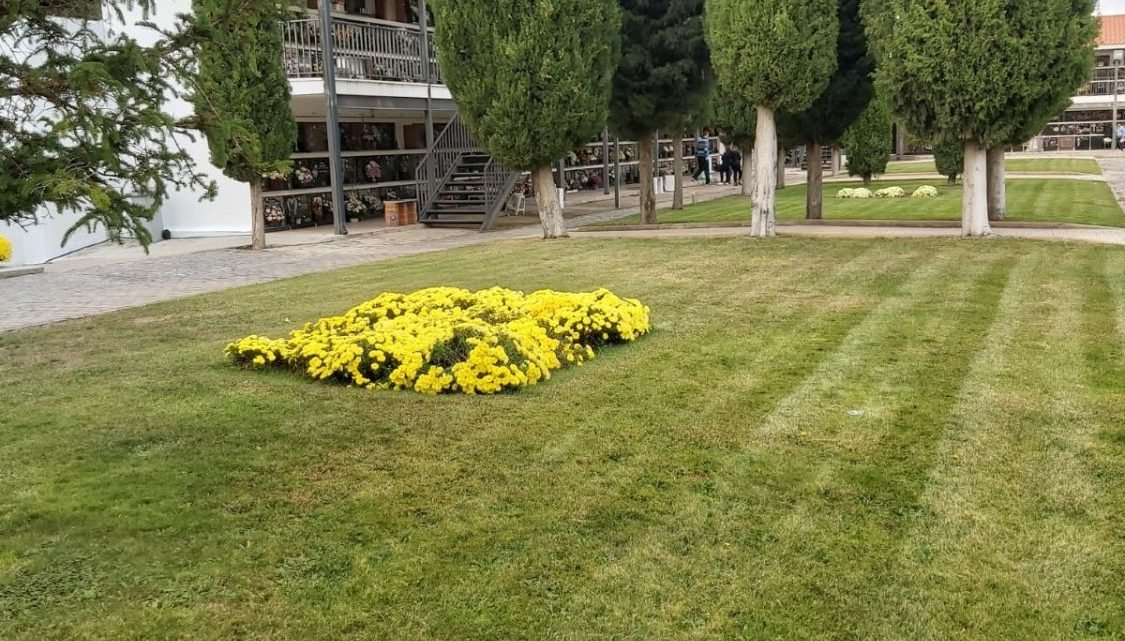 El Alcalde de Villarrobledo informa de las normas en las visitas al cementerio con motivo de la Festividad de Todos los Santos. El Alcalde de Villarrobledo informa de las normas en las visitas al cementerio con motivo de la Festividad de Todos los Santos.