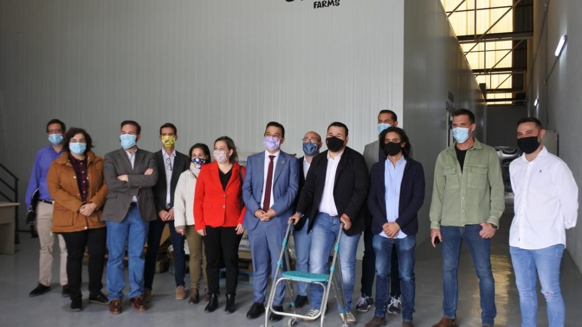 Nuevo impulso del Gobierno de Castilla-La Mancha a la incorporación de jóvenes al sector agroalimentario con una nueva convocatoria de 100 millones de euros antes de final de año Nuevo impulso del Gobierno de Castilla-La Mancha a la incorporación de jóvenes al sector agroalimentario con una nueva convocatoria de 100 millones de euros antes de final de año