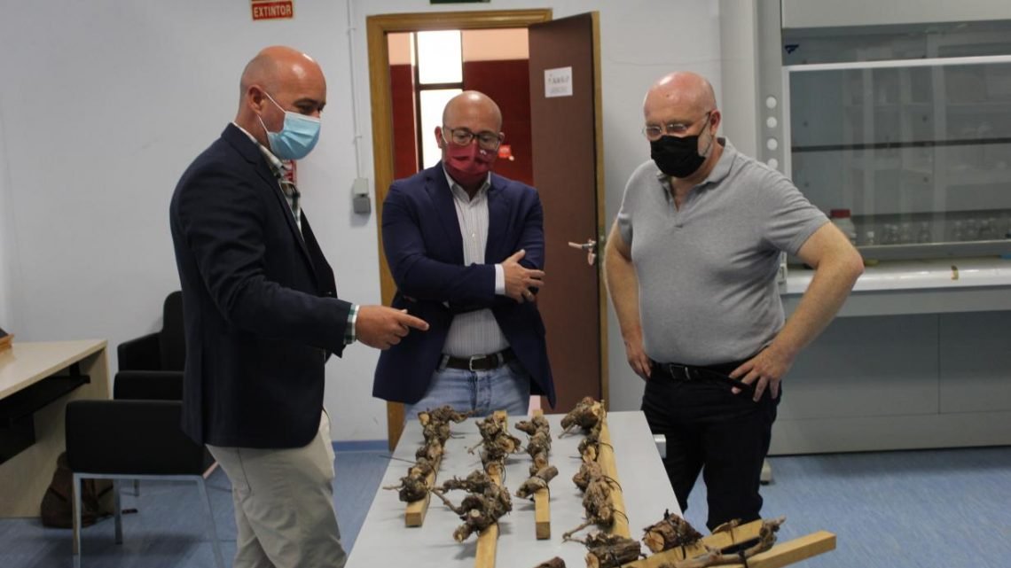 Diez proyectos de investigación de la provincia de Albacete dirigidos al sector agrario y ganadero concurren a las ayudas del Gobierno regional para grupos operativos de innovación Diez proyectos de investigación de la provincia de Albacete dirigidos al sector agrario y ganadero concurren a las ayudas del Gobierno regional para grupos operativos de innovación