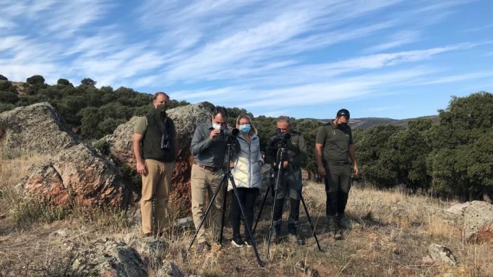 El Gobierno de Castilla-La Mancha ha reincorporado al medio natural a 10 buitres leonados en la provincia de Albacete, en el presente año